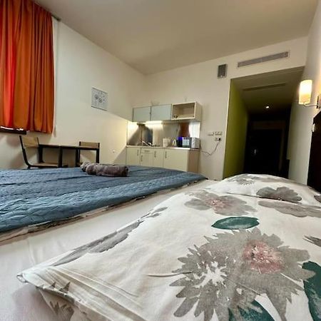 Apartman Priamo Na Hlavnej Ulici 科希策 外观 照片
