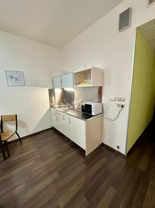 Apartman Priamo Na Hlavnej Ulici 科希策 外观 照片