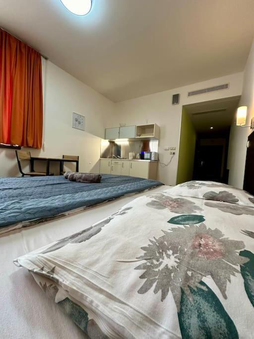 Apartman Priamo Na Hlavnej Ulici 科希策 外观 照片