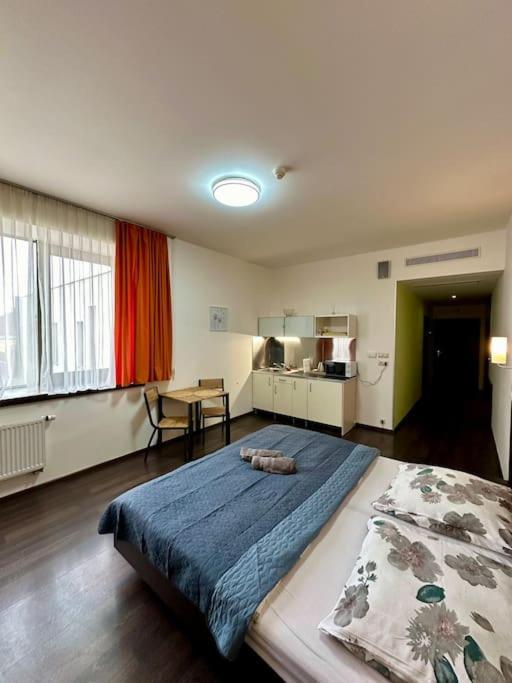 Apartman Priamo Na Hlavnej Ulici 科希策 外观 照片